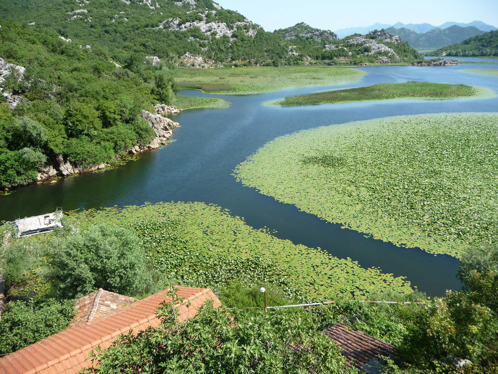 Studios Peric Sveti Stefan Camera foto
